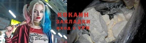 прущие грибы Абдулино