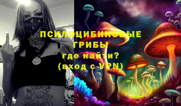 прущие грибы Абдулино