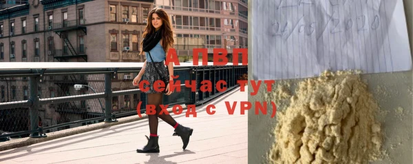 дживик Абаза