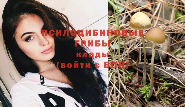 спайс Абинск