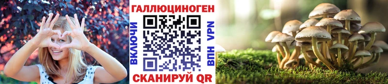 mega рабочий сайт закладки Сызрань Галлюциногенные грибы MAGIC MUSHROOMS
