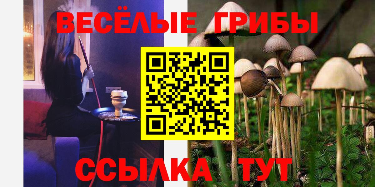 Псилоцибиновые грибы Psilocybine cubensis  Галлюциногенные грибы ЛСД  Сызрань  Вход с VPN 