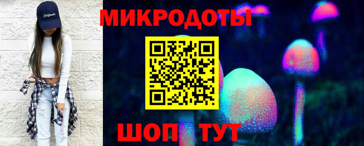 Галлюциногенные грибы Psilocybine cubensis Сызрань